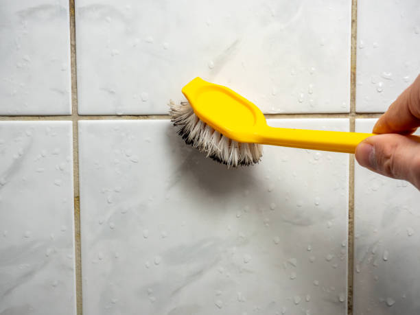 Best Attic Mold Removal  in Central Park, WA