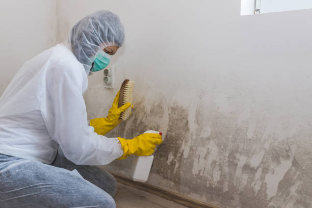 Best Water Damage Restoration  in Central Park, WA