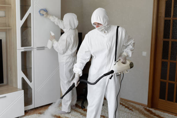Water Damage Restoration in Central Park, WA