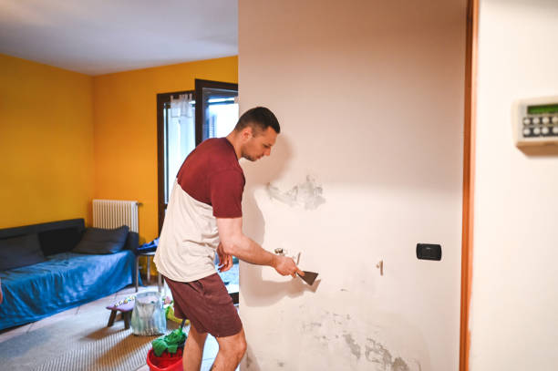 Best Affordable Mold Removal  in Central Park, WA