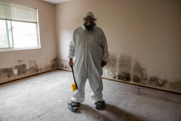 Best Mold Removal Process  in Central Park, WA